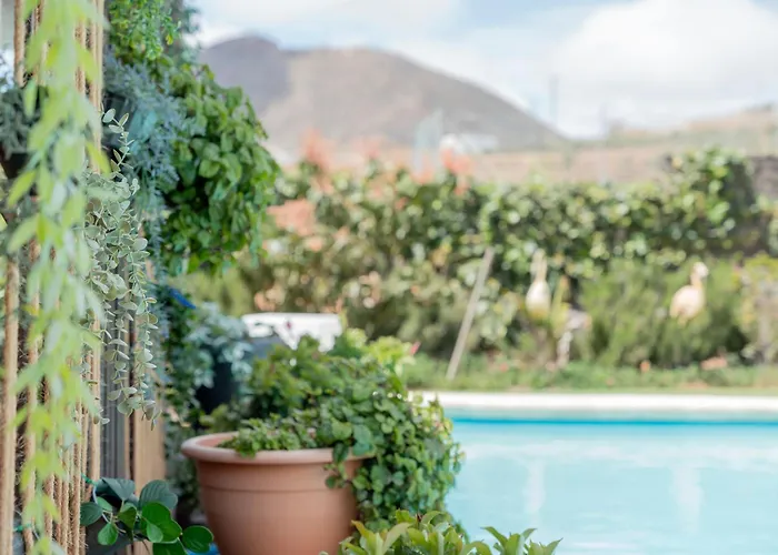 F Tamaide * San Miguel de Abona