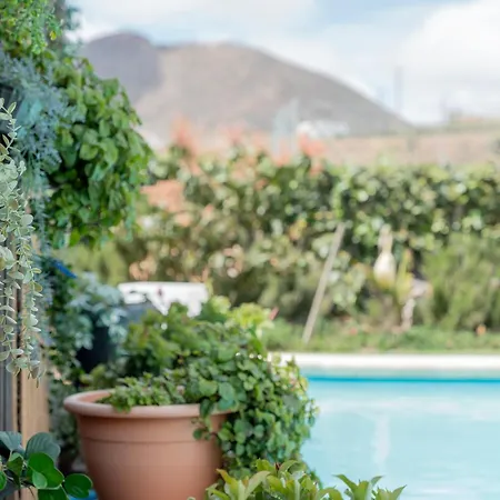 F Tamaide * San Miguel de Abona